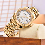 PAGANI DESIGN New D36 Gold Men's Watches Luxury Automatic Watch Men AR Sapphire Glass Mechanical wistwatch Local Shipping