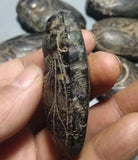 Home Decoration Chinese Hongshan Culture Antique Jade Black Iron Meteorite Cicadas Statue Arts and Crafts