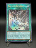 Yu-Gi-Oh! 25th Anniversary Proxy Card DIY RA03 ROTA Spellcaster Mermail Nekroz Primite Red-Eyes Custom Collection