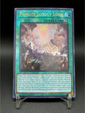 Yu-Gi-Oh! 25th Anniversary Proxy Card DIY RA03 ROTA Spellcaster Mermail Nekroz Primite Red-Eyes Custom Collection
