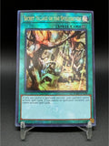 Yu-Gi-Oh! 25th Anniversary Proxy Card DIY RA03 ROTA Spellcaster Mermail Nekroz Primite Red-Eyes Custom Collection