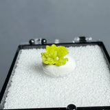 Natural Raw Pyromorphite Crystal Healing Teaching Collection Gift Home Decor