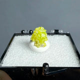 Natural Raw Pyromorphite Crystal Healing Teaching Collection Gift Home Decor
