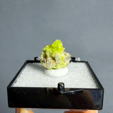 Natural Raw Pyromorphite Crystal Healing Teaching Collection Gift Home Decor