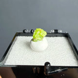 Natural Raw Pyromorphite Crystal Healing Teaching Collection Gift Home Decor