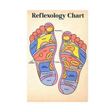 Foot Reflexology Chart Posters and Prints Massage Therapist Canvas Paintings Wall Art Pictures for Beauty Salon Home Decoration