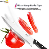 Kitchen Knife High Carbon Stainless Steel 3.5 5 8 inch Paring Utility Carving Chef Knife 4 piece Set 3CR13 420C Meat Fruit Tools