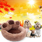 Warm Cotton Cat Dog Sofa Nest Basket Soft Pet Sofa Mat Bear Claw Shape Pet Dog Cat Bed for Small Dogs Cats Puppy Pet Accessories