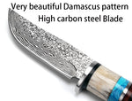 XITUO High carbon steel Handmade Damascus pattern Fixed blade knife survival tactical pocket knife antler handle Leather sheath