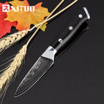 Quality Japan VG10 Damascus steel kitchen knife