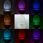 Lighting Toilet Light LED